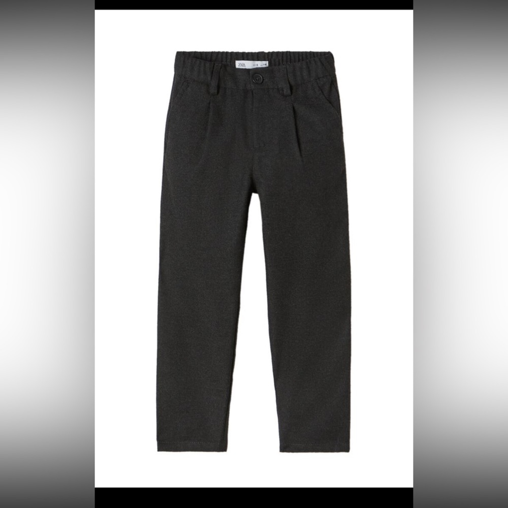 Zara Structured Pants With Darts